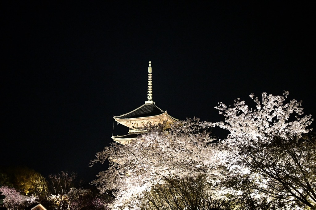 東寺ライトアップ