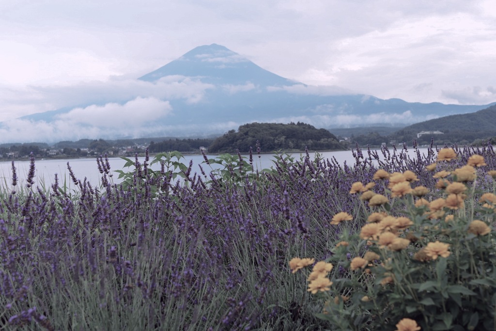 富士山7月