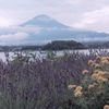 富士山7月