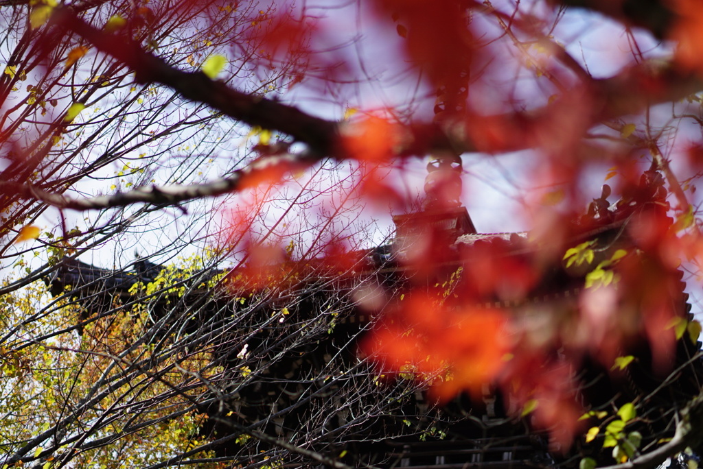 2018京都