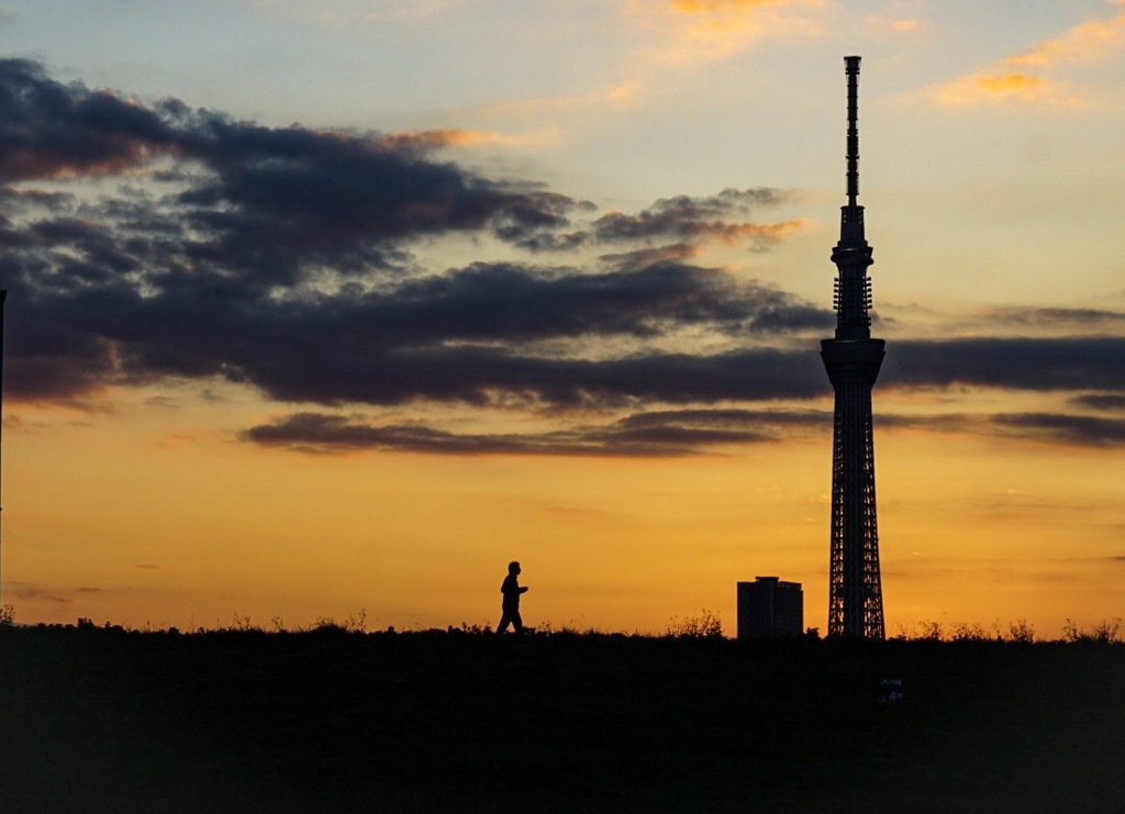 スカイツリーと夕焼け