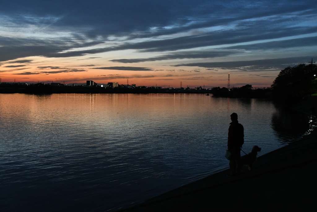 犬と夕陽