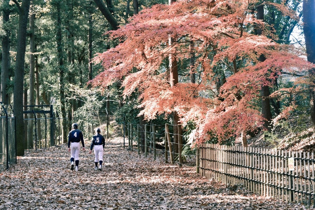 紅葉狩り、、練習練習っと