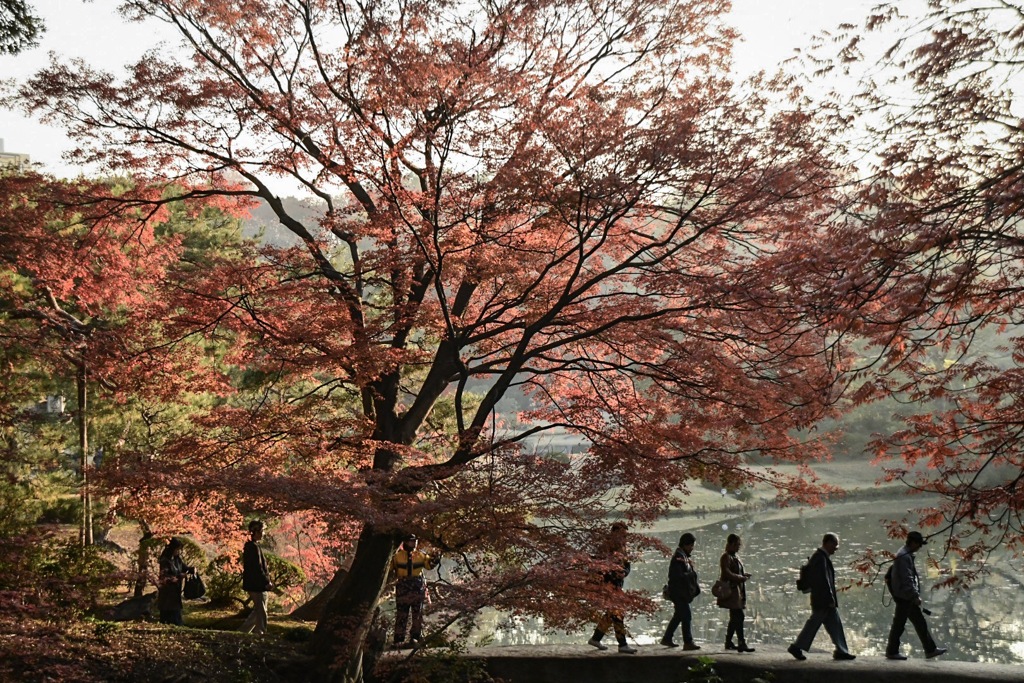 六義園つづき