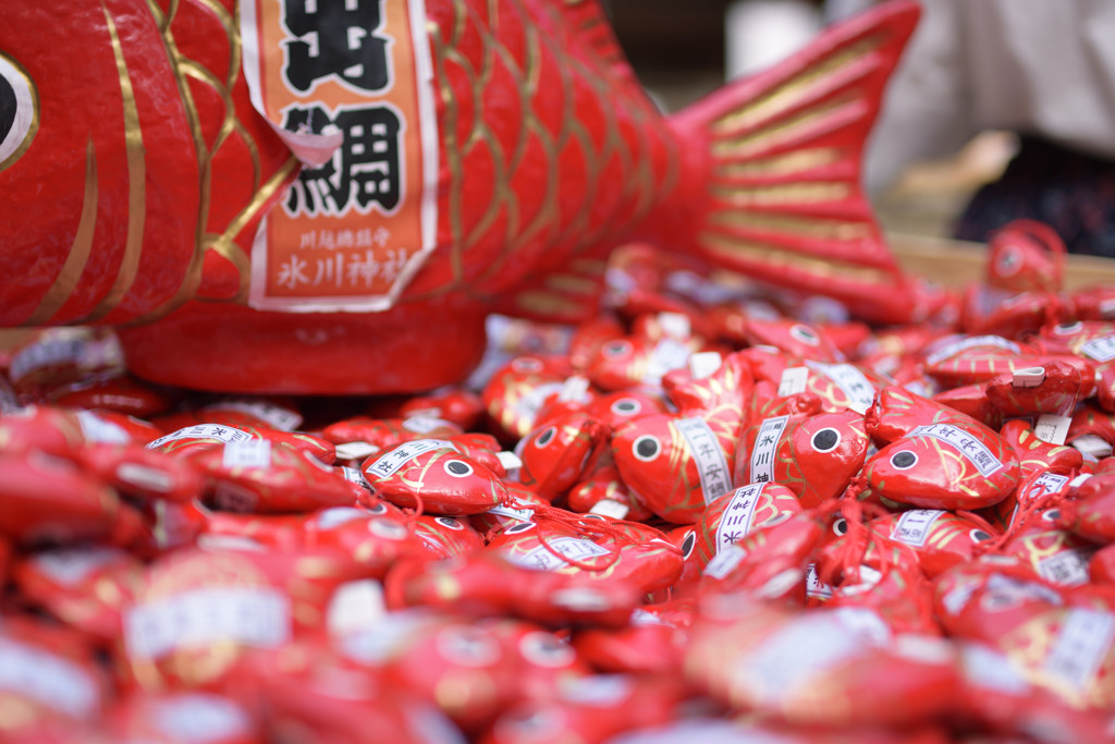 目出鯛