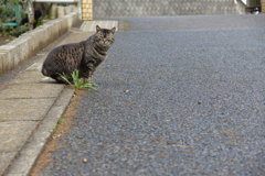 渡るときは...