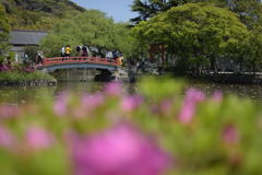 鶴岡八幡宮