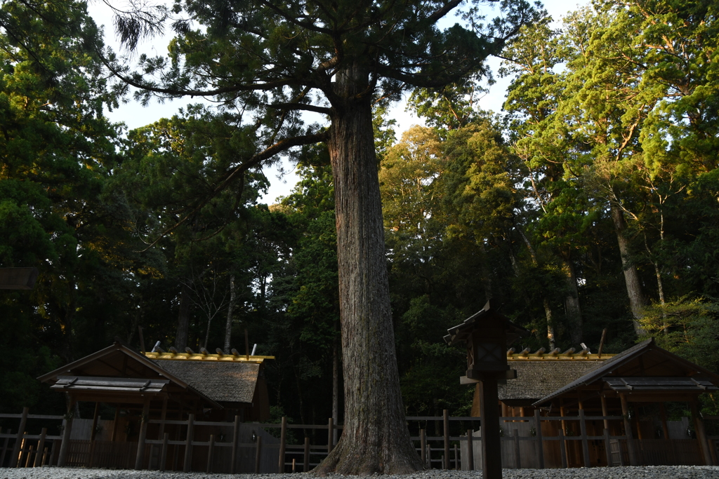 瀧原宮