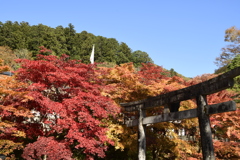 古峯神社の紅葉