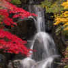 紅葉と滝＃2