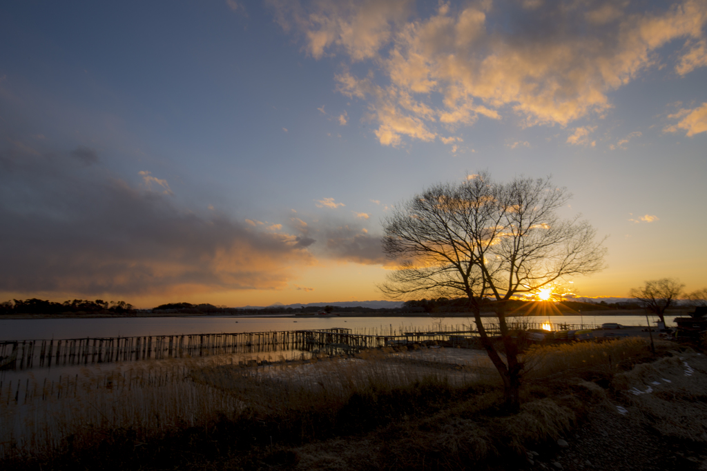 夕景どき…