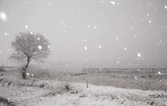 雪景色