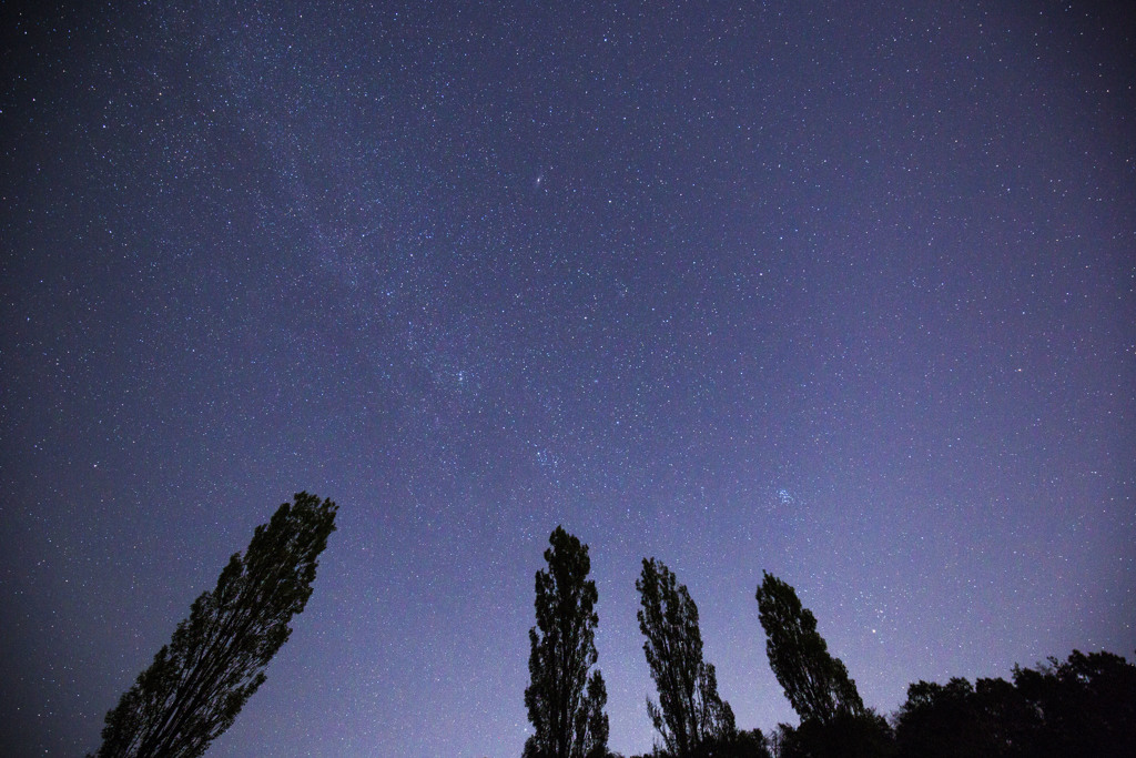 秋の夜空とポプラの木