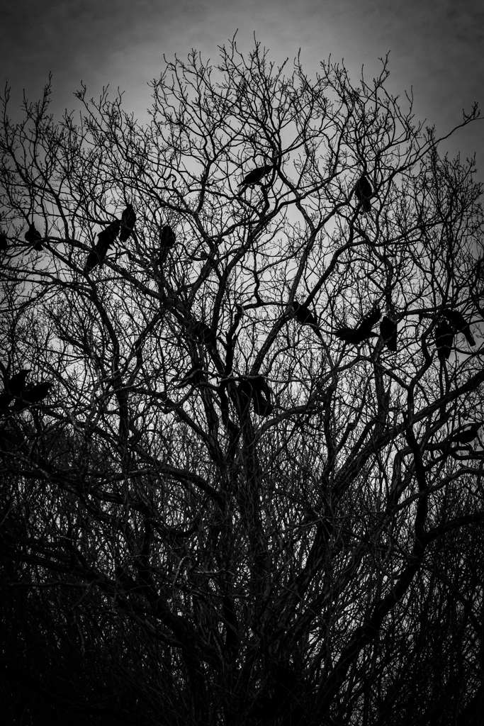 D46C6181-E061-4E0D-8173-A17721FC5934