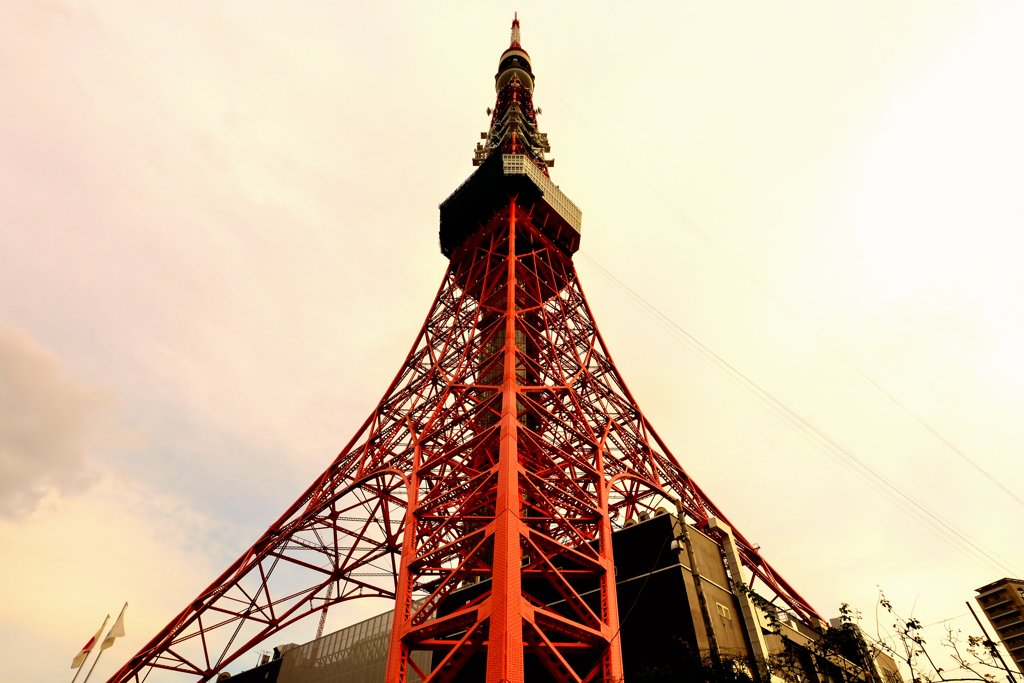 夕映えの東京タワー #2