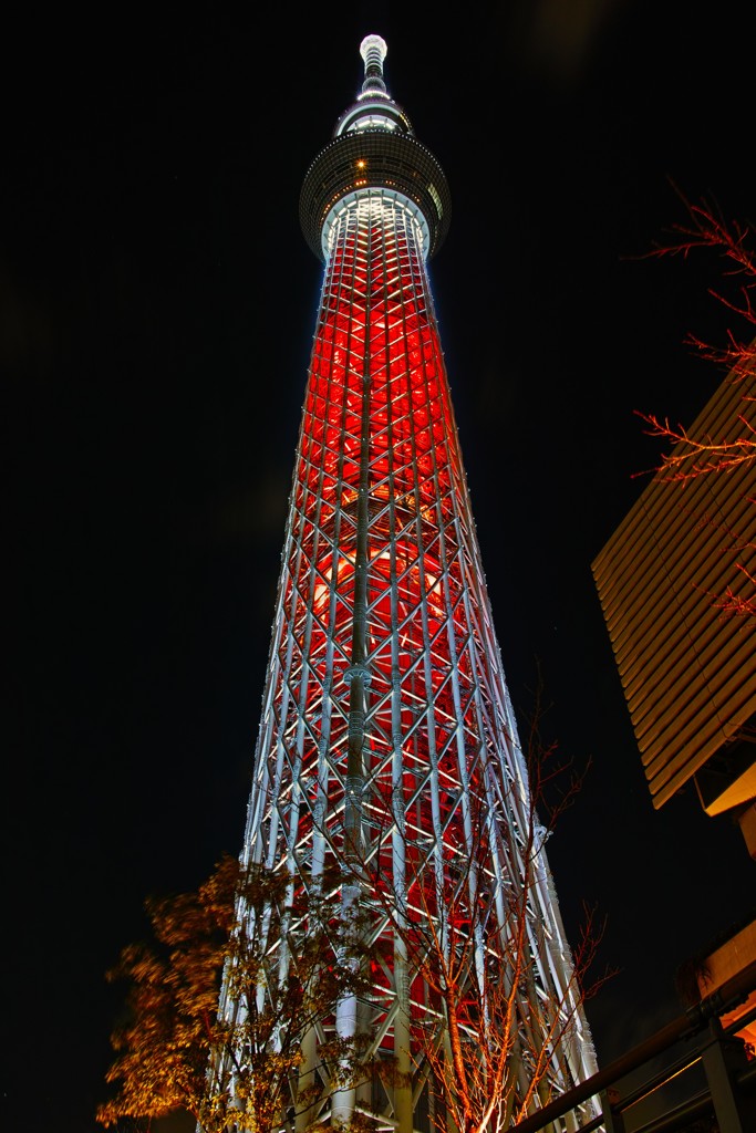 キャンドルツリー