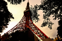 夕映えの東京タワー #1