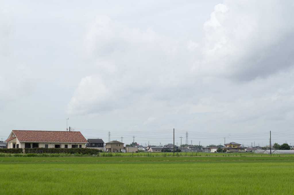田んぼ２