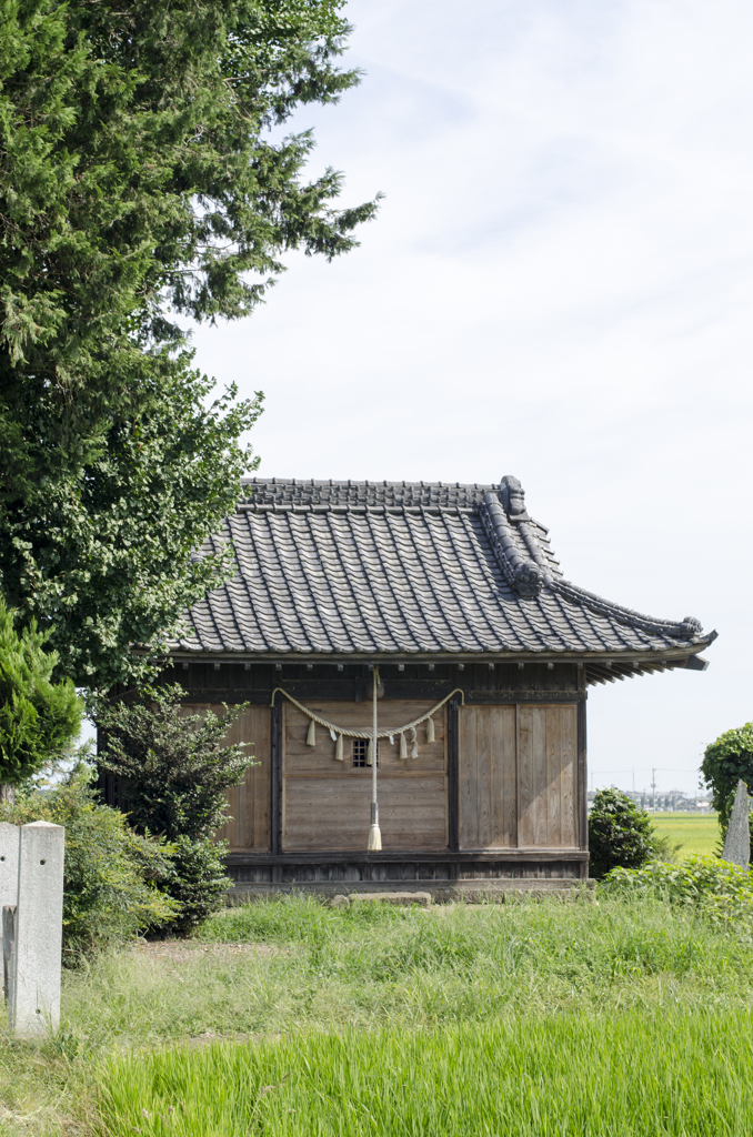風景６