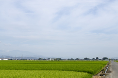 風景１