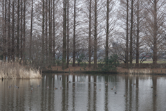 風景３