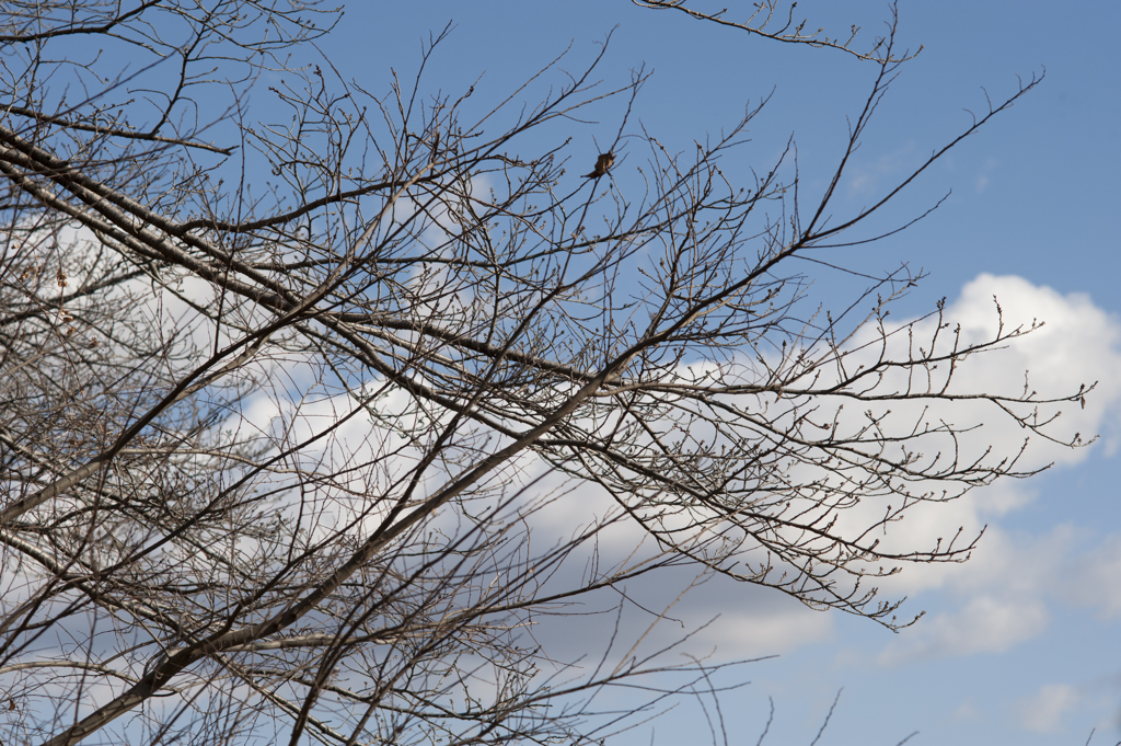青空１