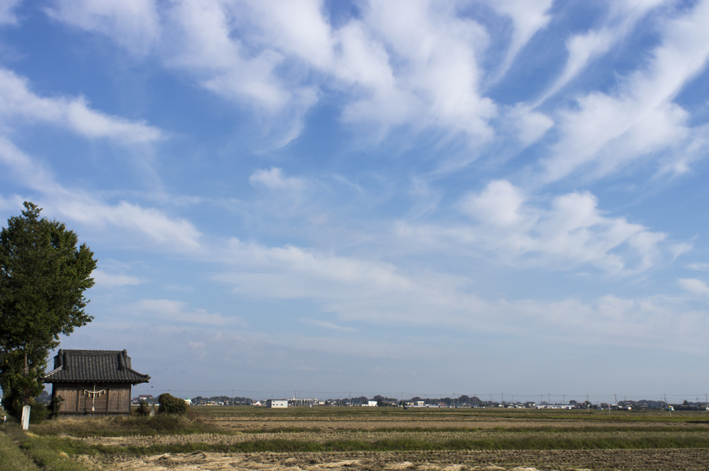 風景７