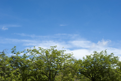 空３