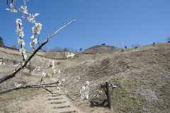 城址公園１２