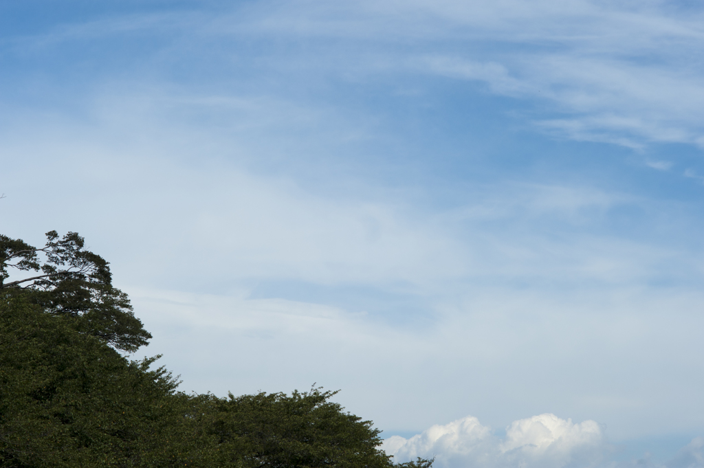 空１０