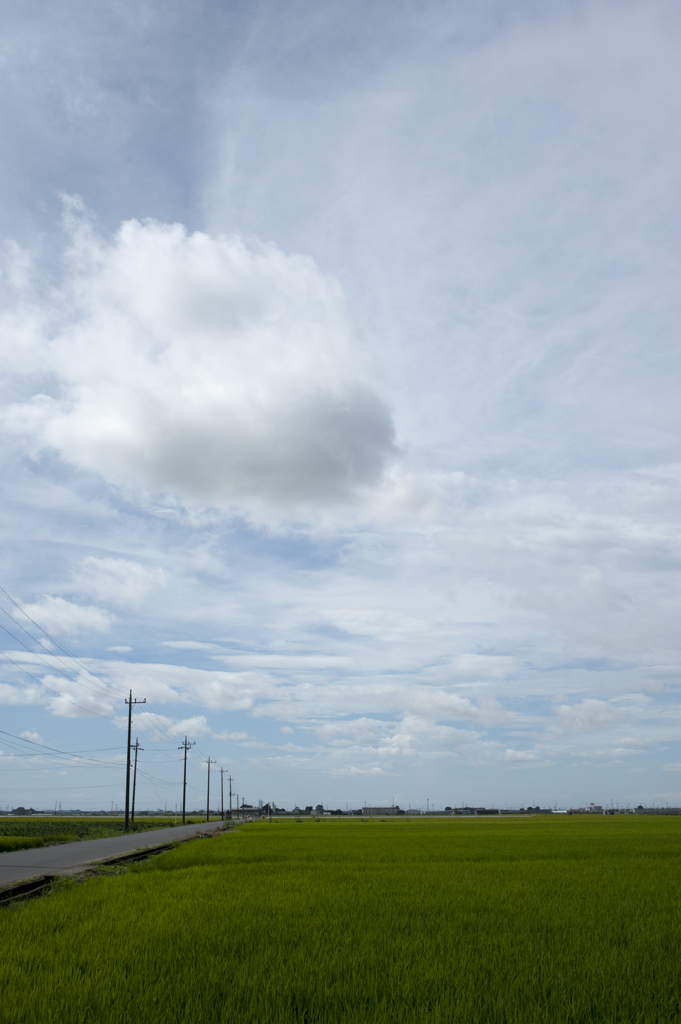 雲１２