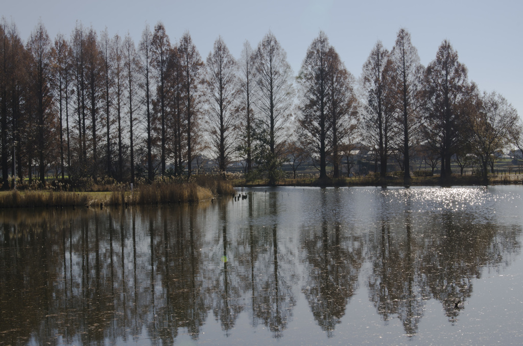 穏やかな風景２