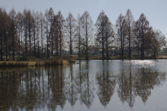 穏やかな風景２