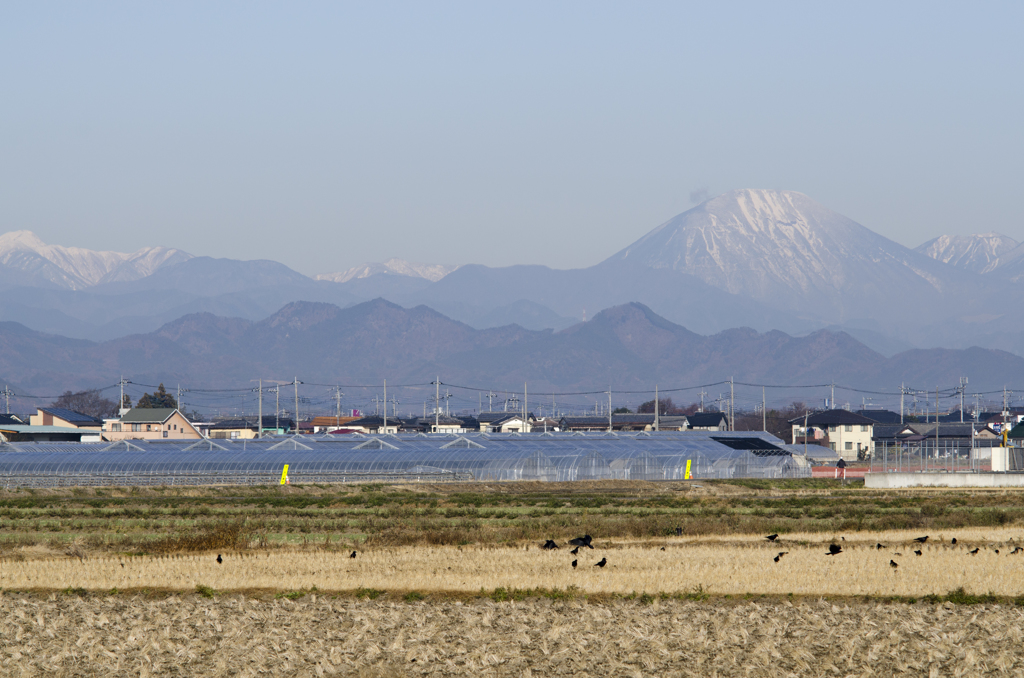 風景３