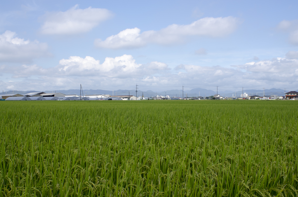 風景１３