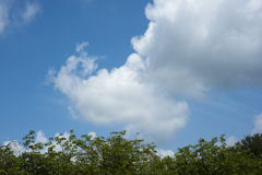 空３