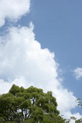 空１