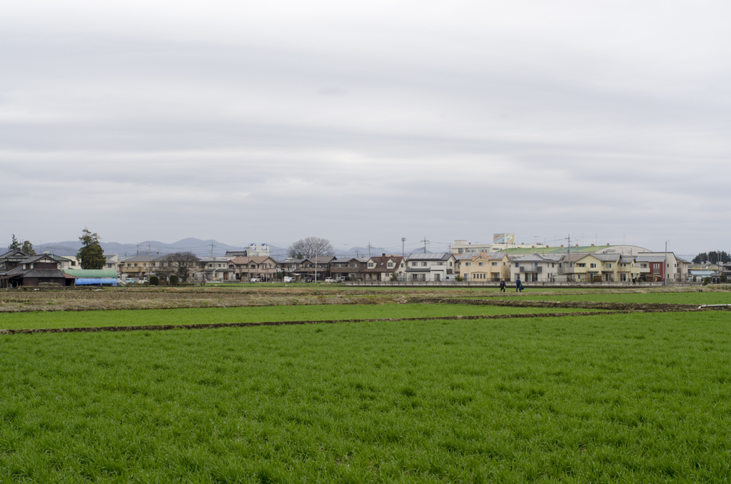 風景２