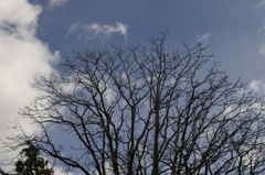 青空２