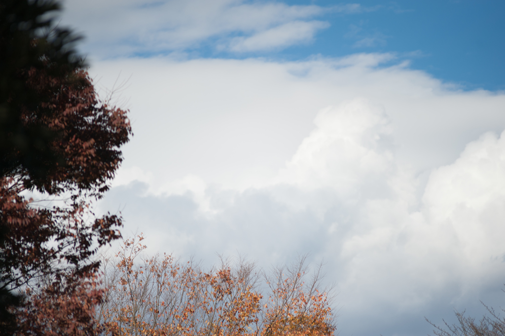 青空と雲４