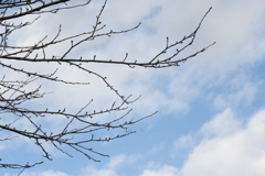 青空