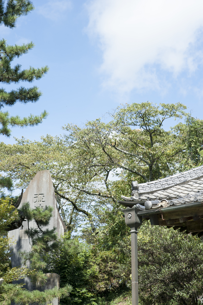 風景７