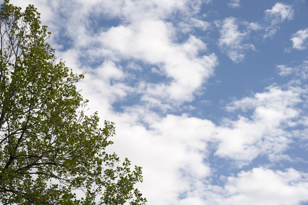 空５