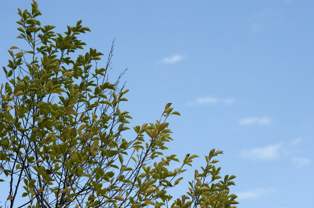 空２