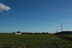 田んぼと青空