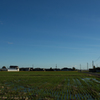 田んぼと青空