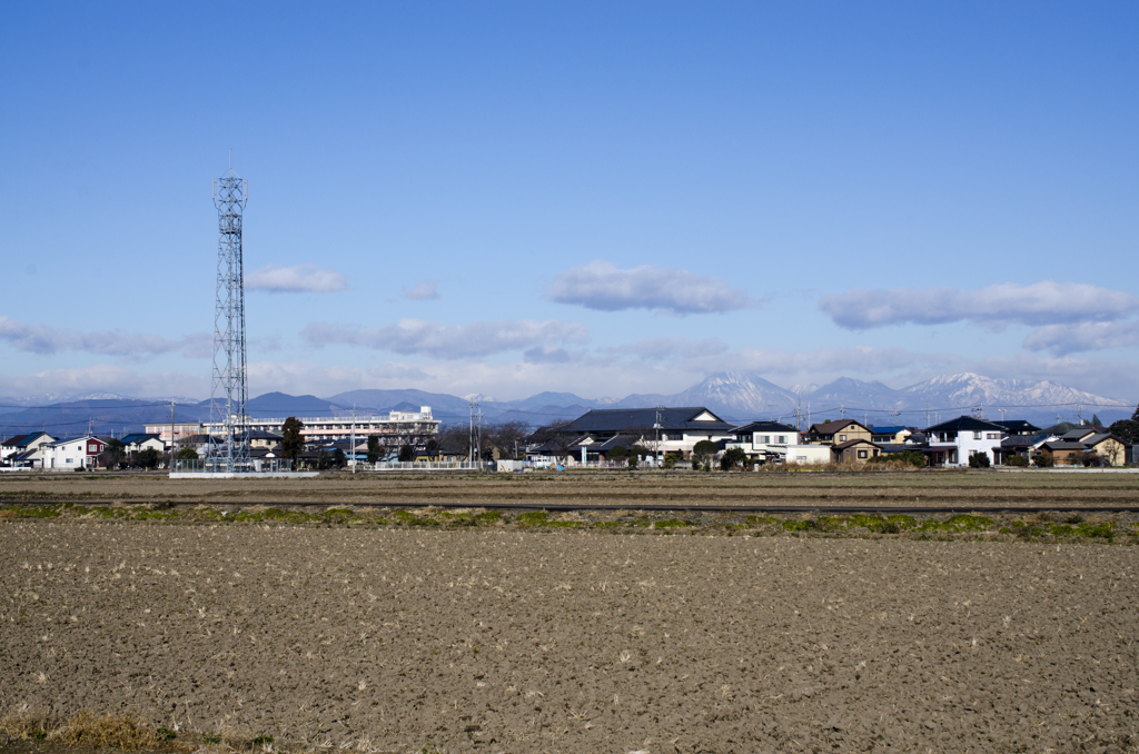元旦風景