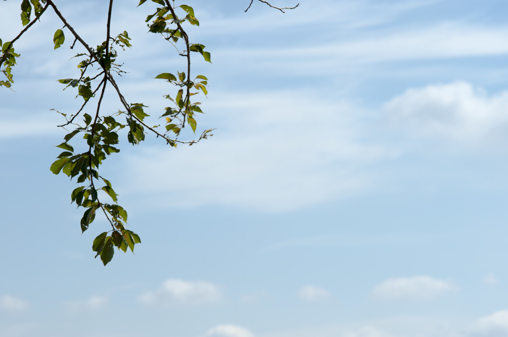 空１１