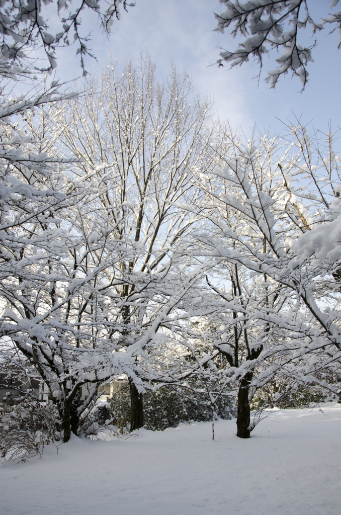 雪景色１９