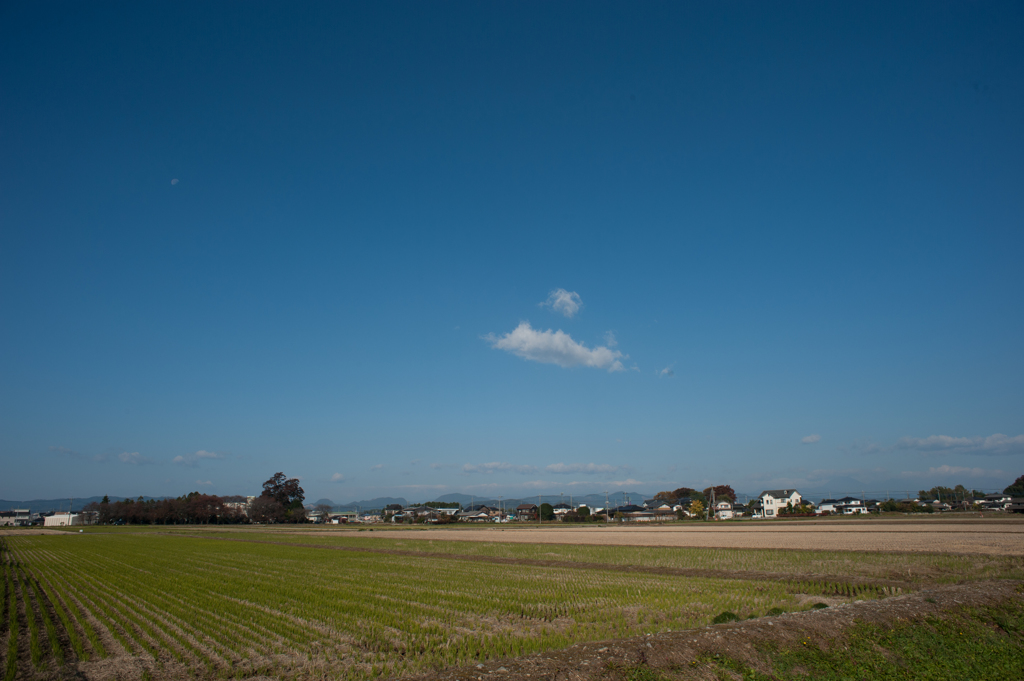 田んぼと青空３